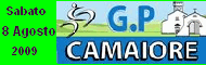 Banner SX GP CAMAIORE